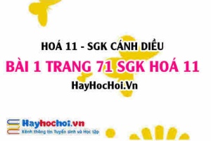 Bài 1 trang 71 SGK Hoá 11 Cánh diều